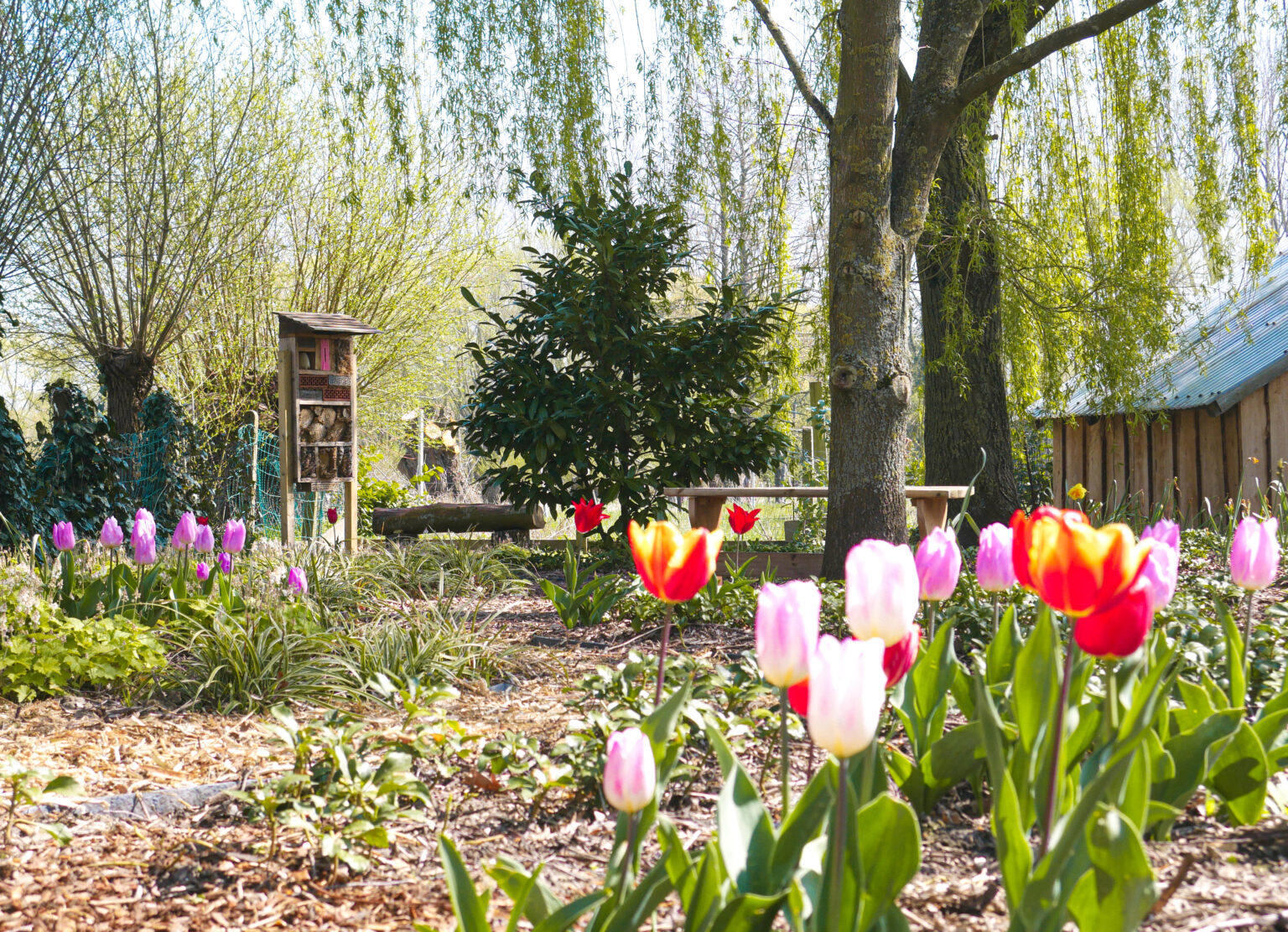 Tuin